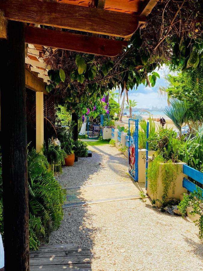 Aruba Sunset Beach Studios Палм Бич Экстерьер фото
