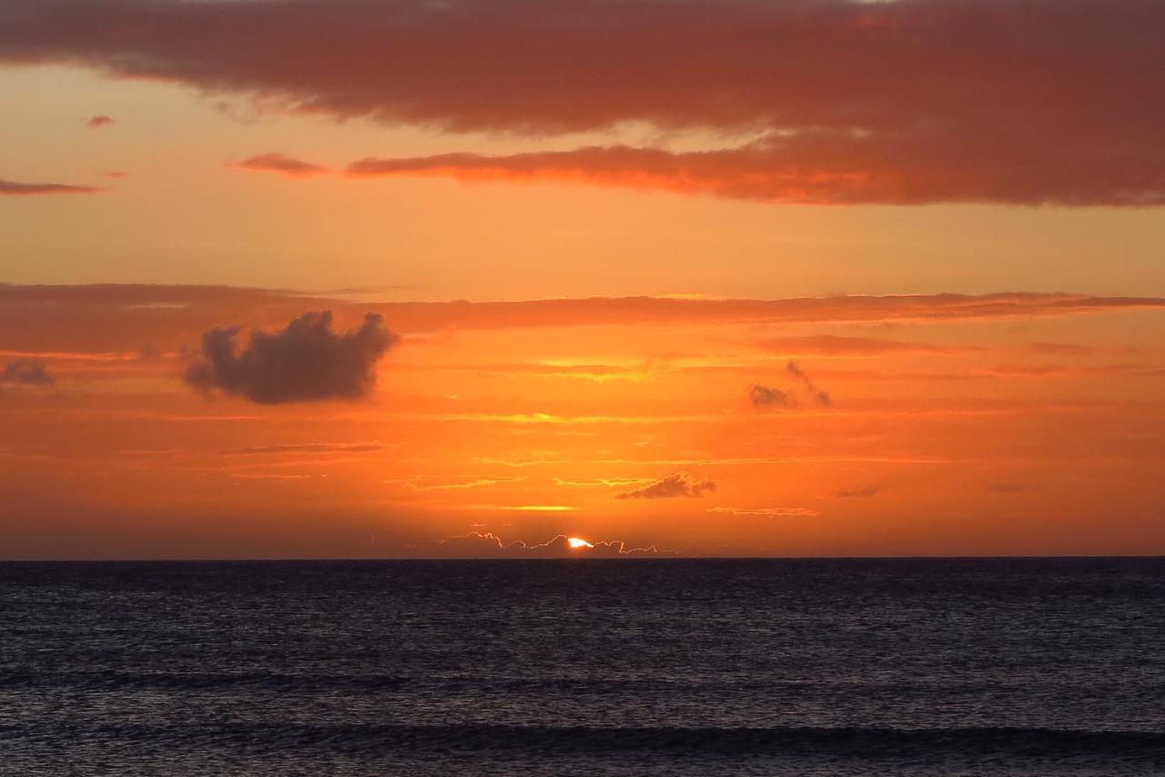 Aruba Sunset Beach Studios Палм Бич Экстерьер фото