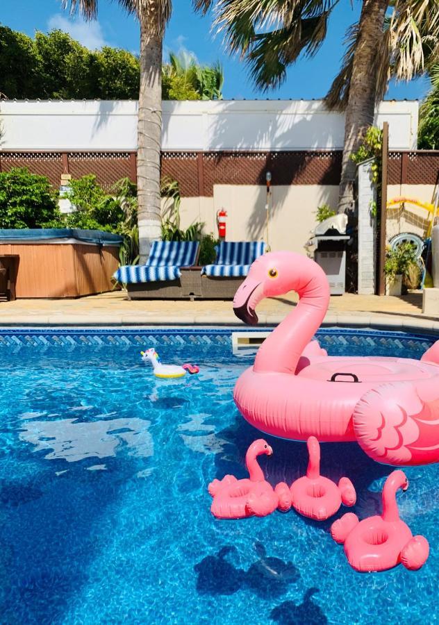 Aruba Sunset Beach Studios Палм Бич Экстерьер фото